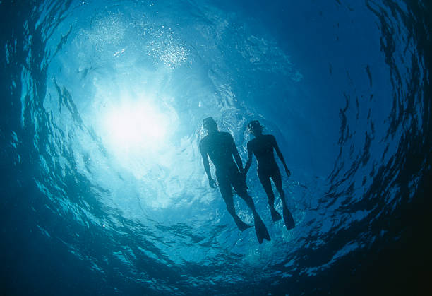 Learn to Snorkel class April 24 4:30-5:30pm