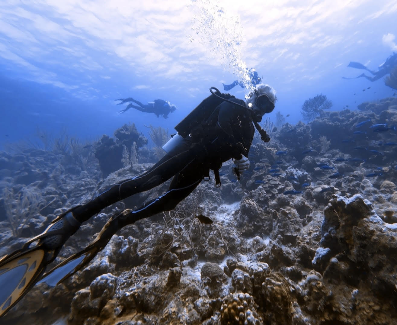OW Scuba Diver Wknd Class/ June 12 & 13